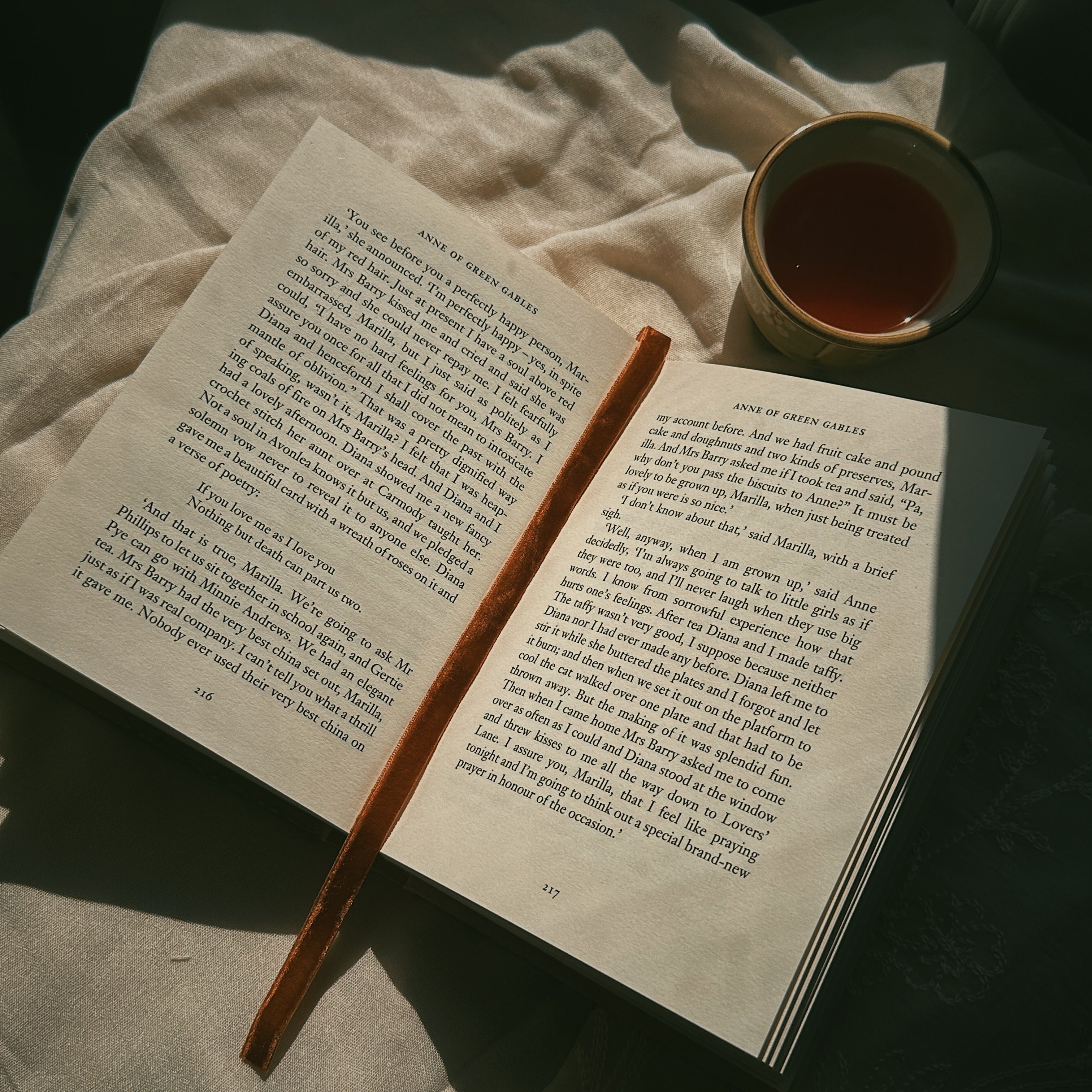 Book and ribbon